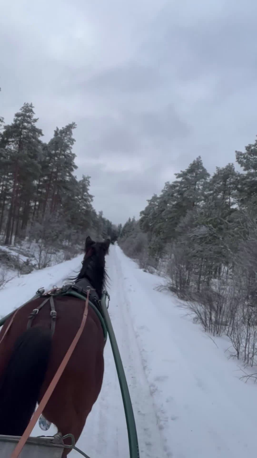  stallplats finnes: Stallplatser - Video 1