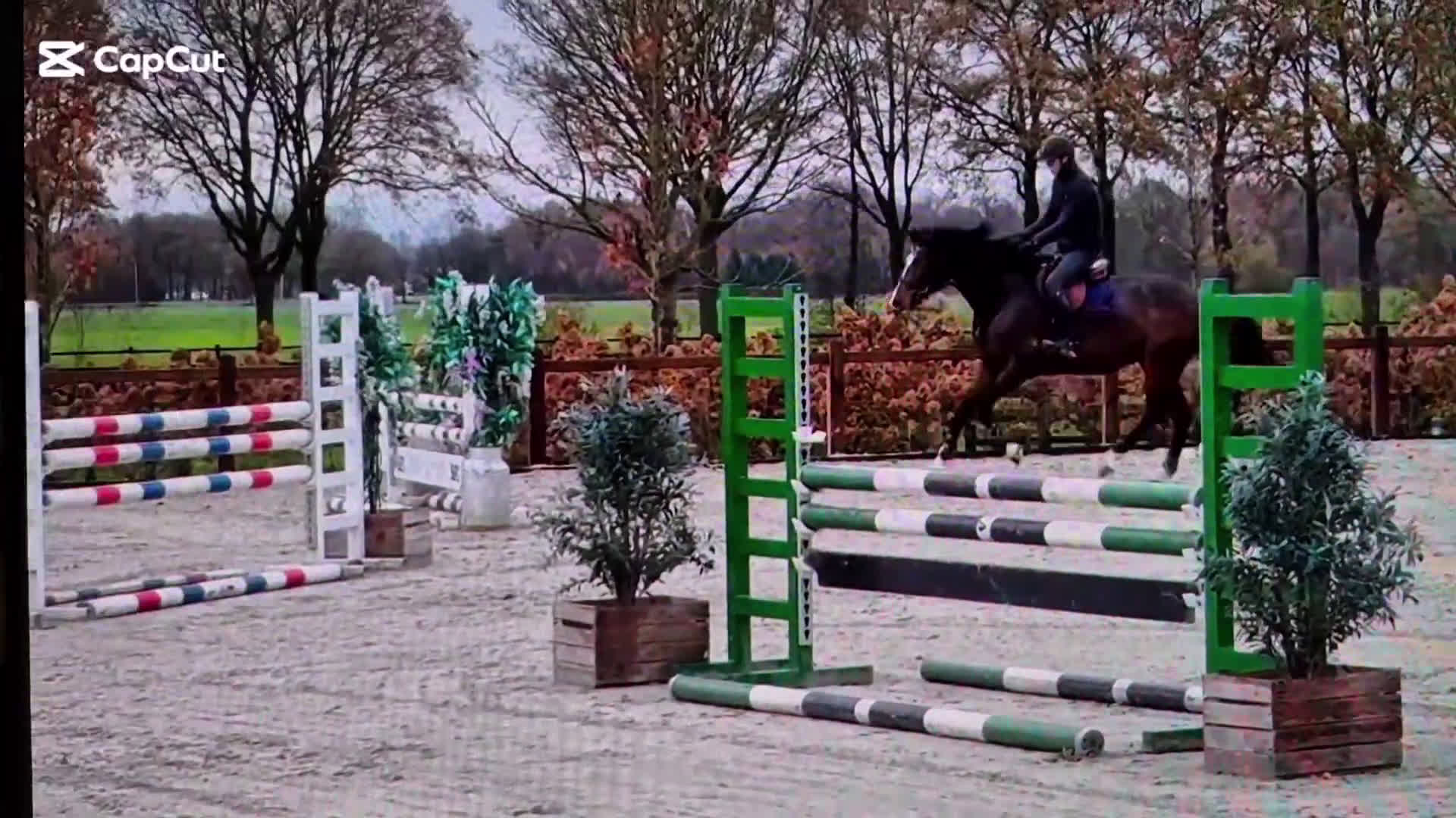 Hoppning hästar till salu: Välbalanserat 5års sto i Dösjebro - Video 1