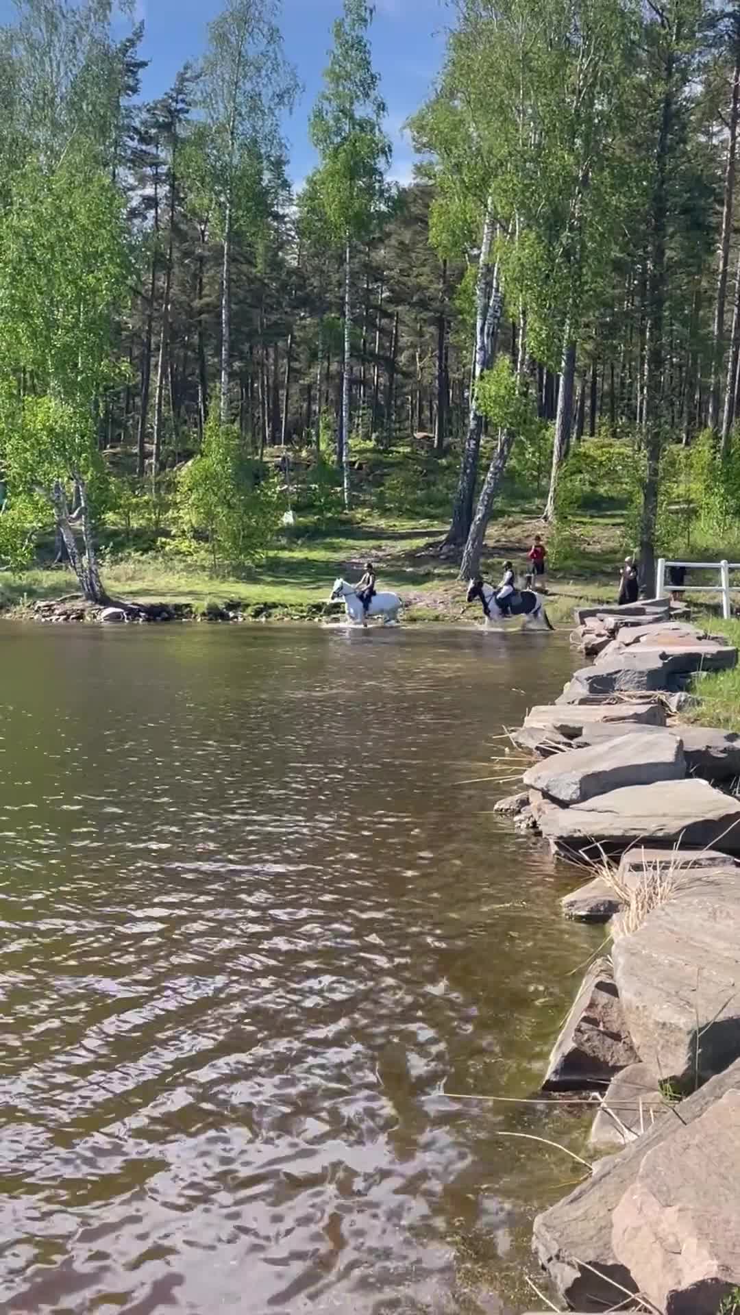 Hoppning hästar till salu: Drömponny i Ånimskog - Video 1