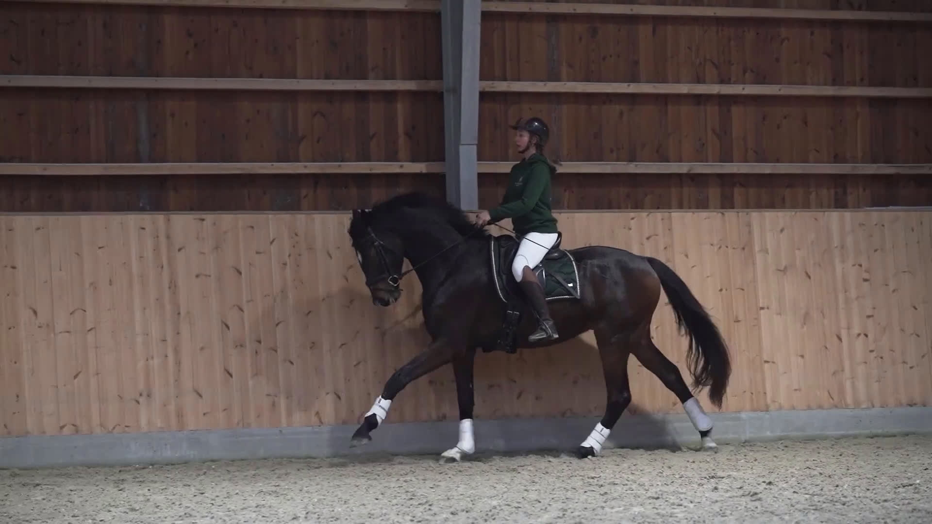 Dressyr hästar till salu: Topsport dressage horse - Video 2