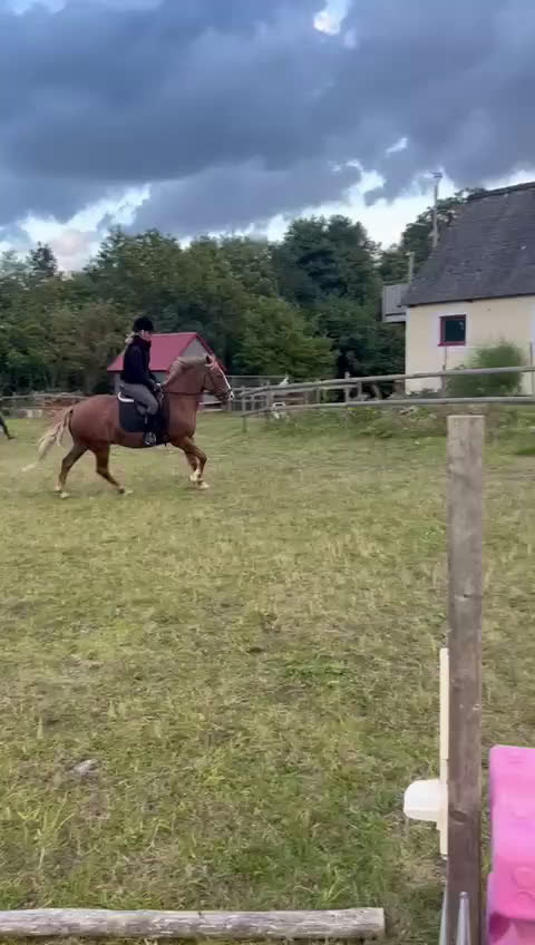 Allround hästar till salu: Fin hobbyhäst! i Billesholm - Video 1