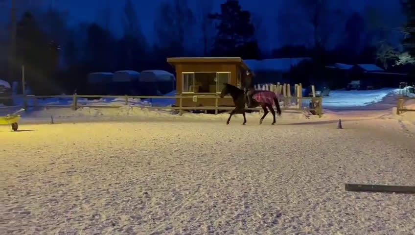  medryttarhäst sökes: Medryttarhäst  i Vagnhärad - Video 2
