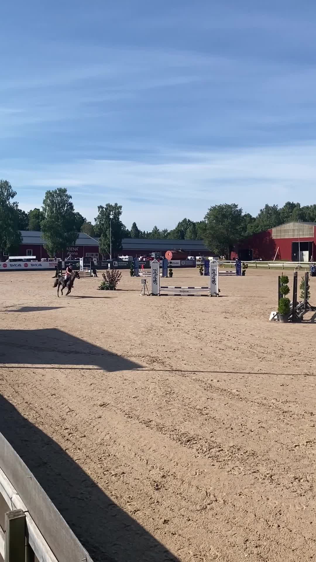 Allround hästar till salu: Fin B-ponny  - Video 4