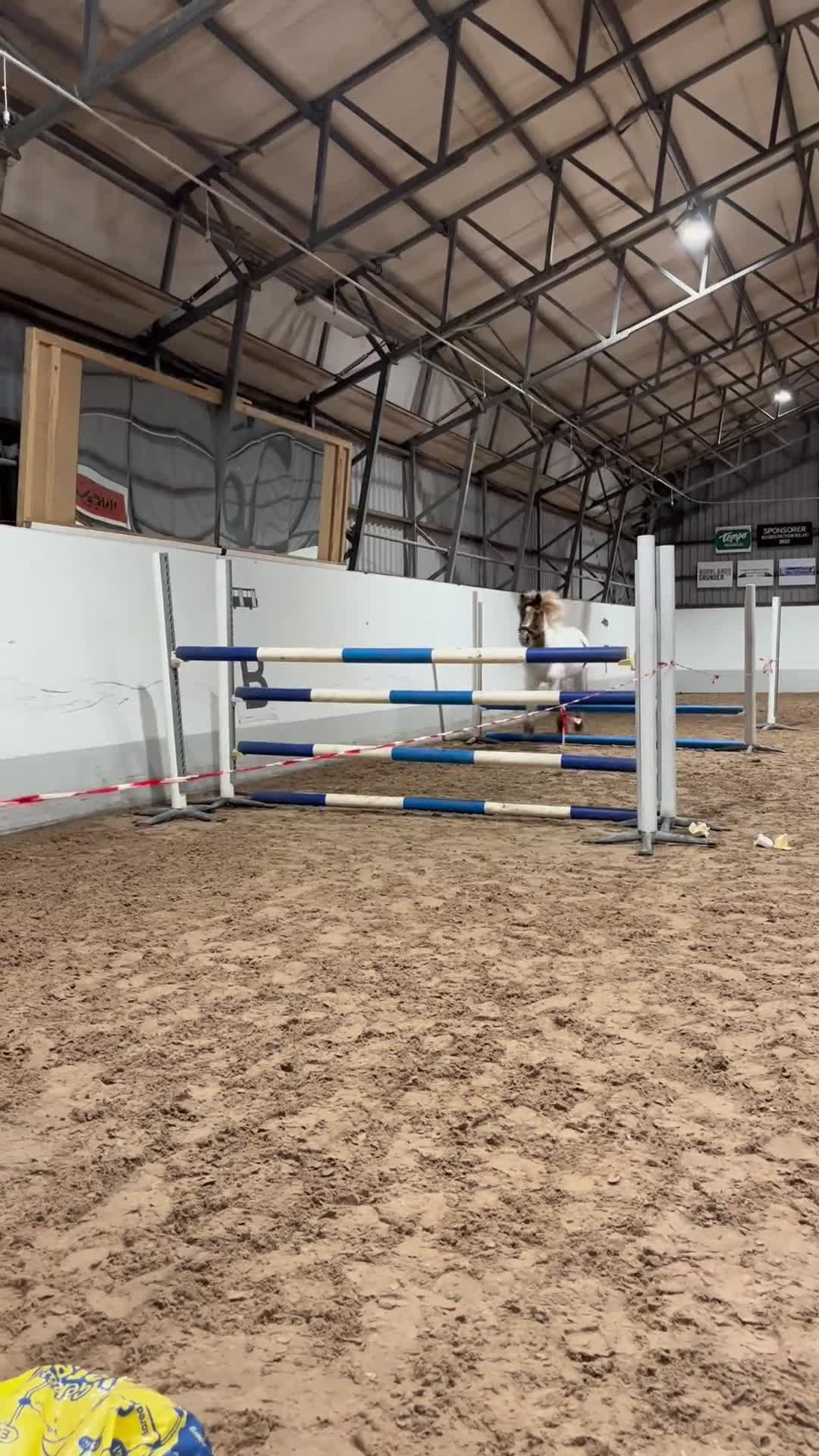  medryttarhäst finnes: Medryttare till grövre c-ponnyvalack 🐴 - Video 3