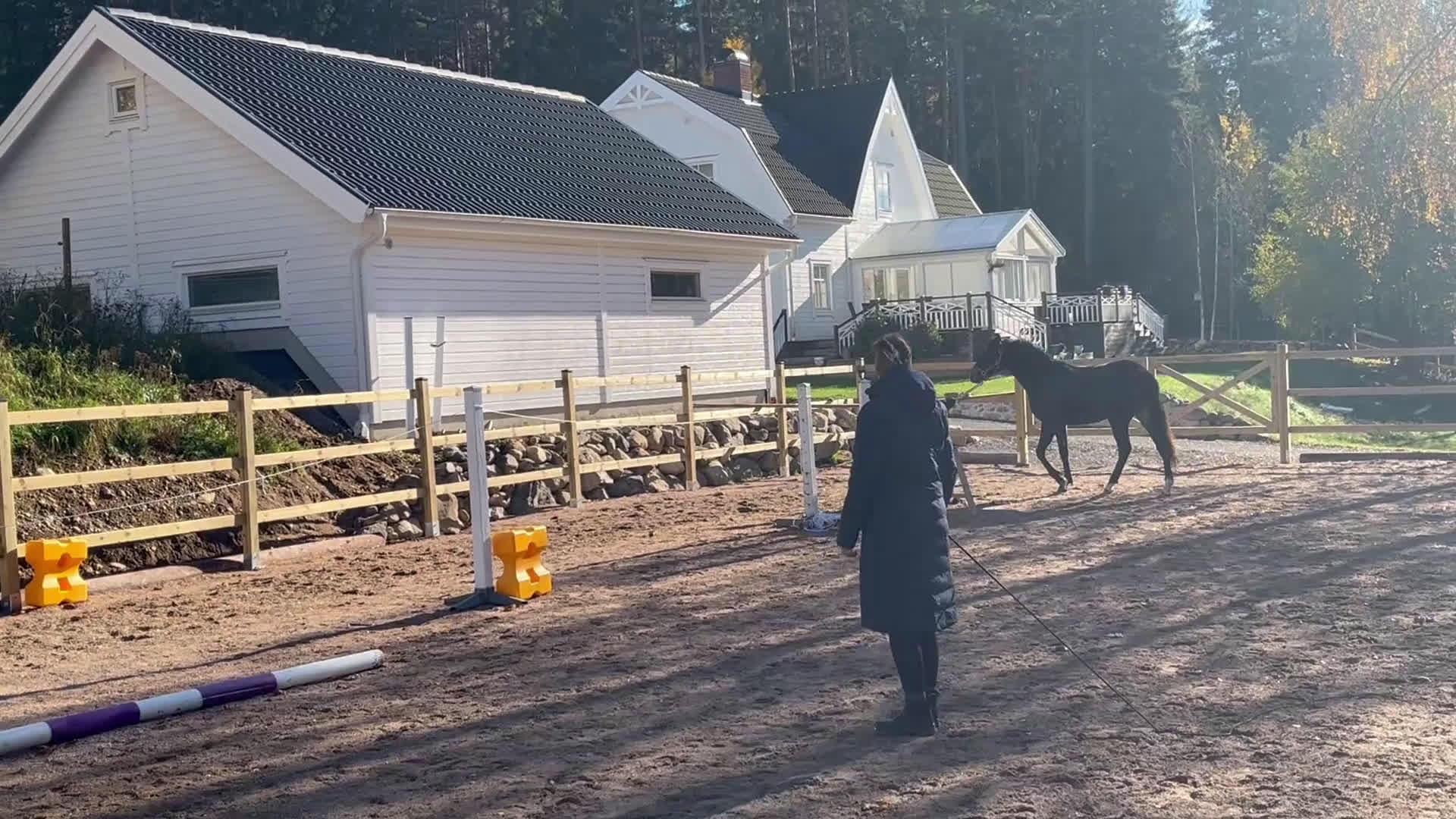 Allround hästar till salu: Fina Pommes-ponnyn i Vetlanda - Video 2