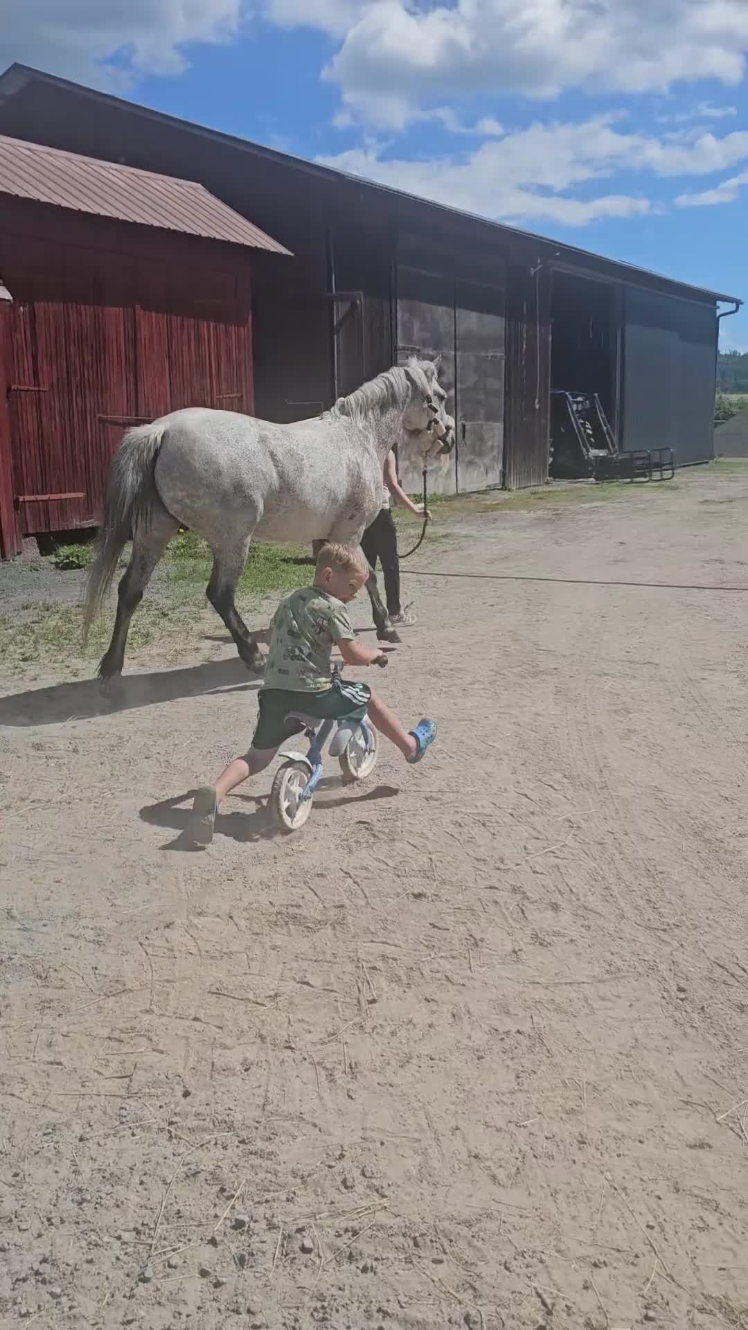 Hoppning hästar till salu: C ponny - Video 1