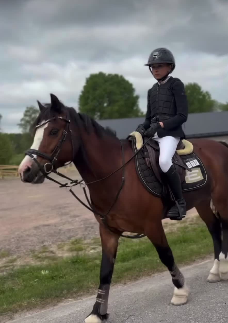 Allround hästar till salu: Tävlingsponny! - Video 4