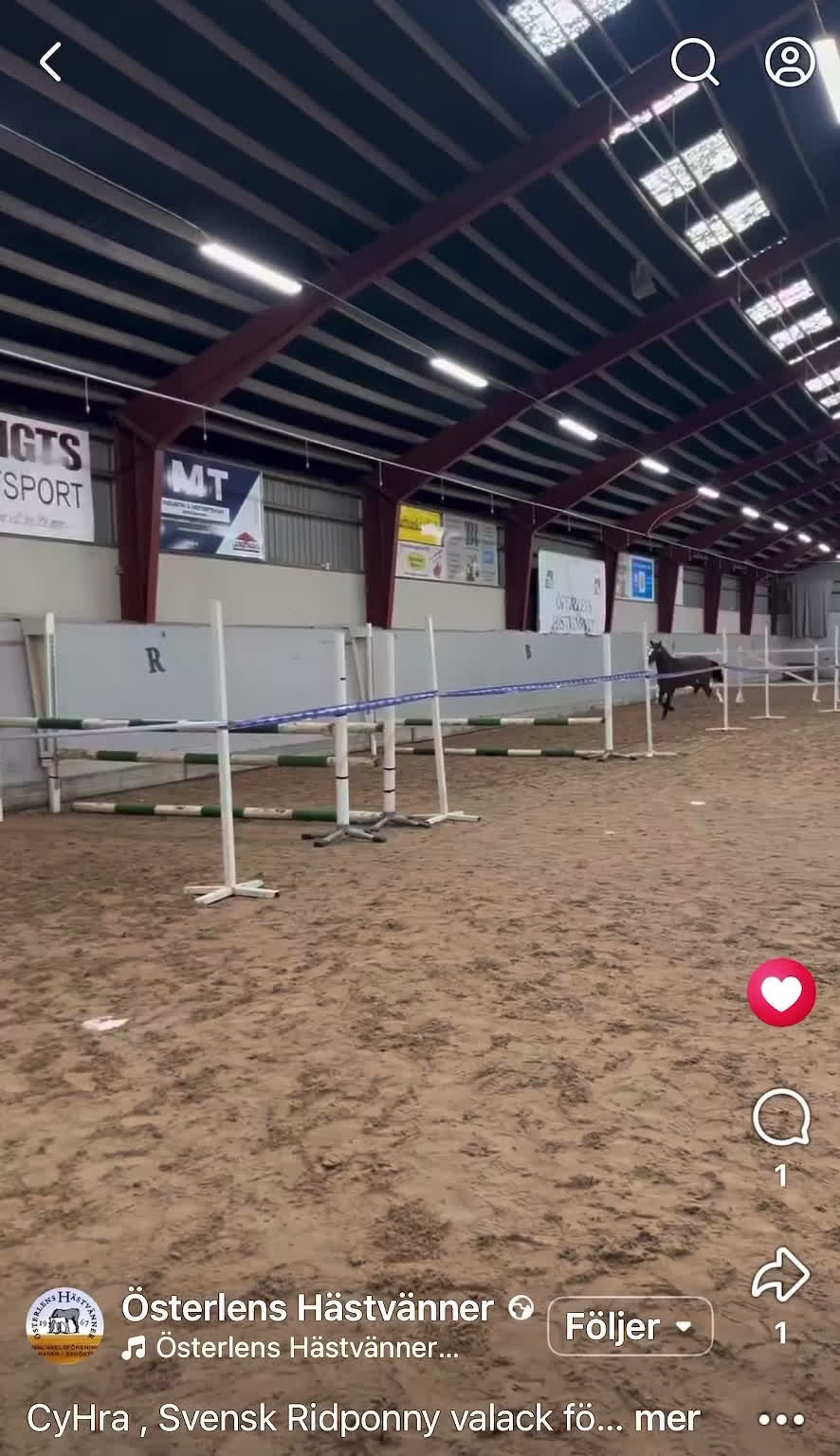 Hoppning hästar till salu: Blivande elitponny för mästerskap i Önnestad - Video 2