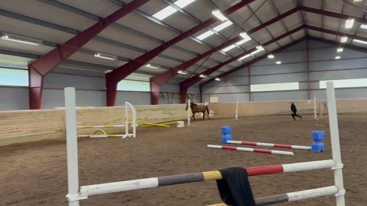 Hoppning hästar till salu: Unghäst för framtiden  i Kvillsfors - Video 1