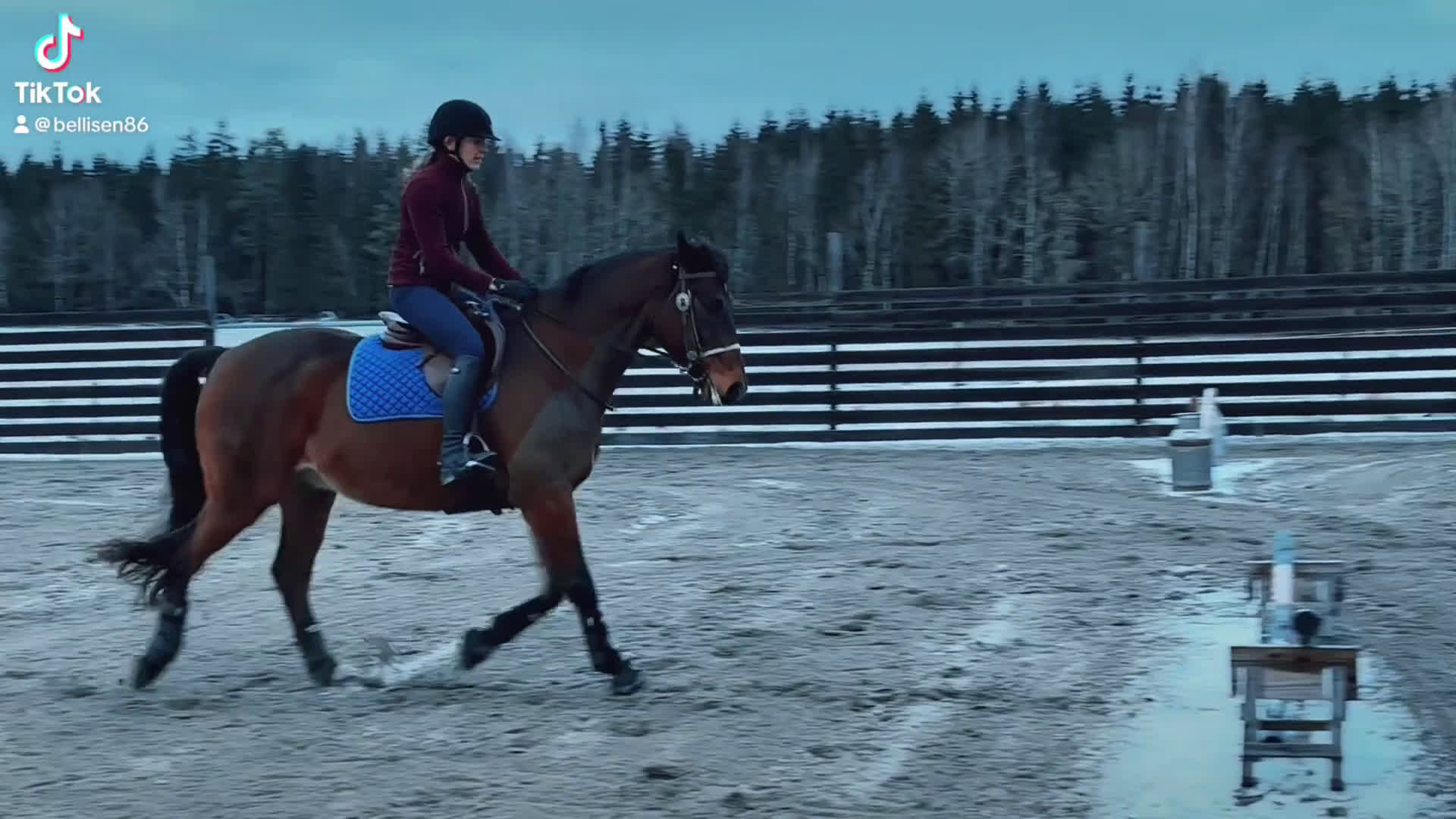 Allround hästar till salu: Fantastisk allround/övergångshäst i Sösdala - Video 4