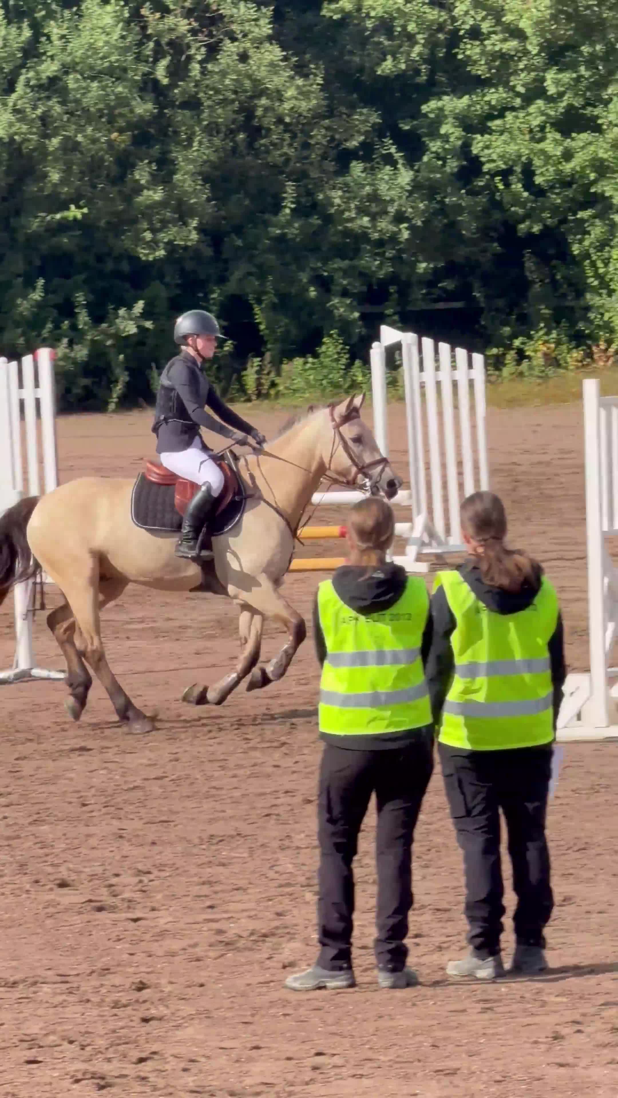 Hoppning hästar till salu: Lovande ungponny✨  - Video 3