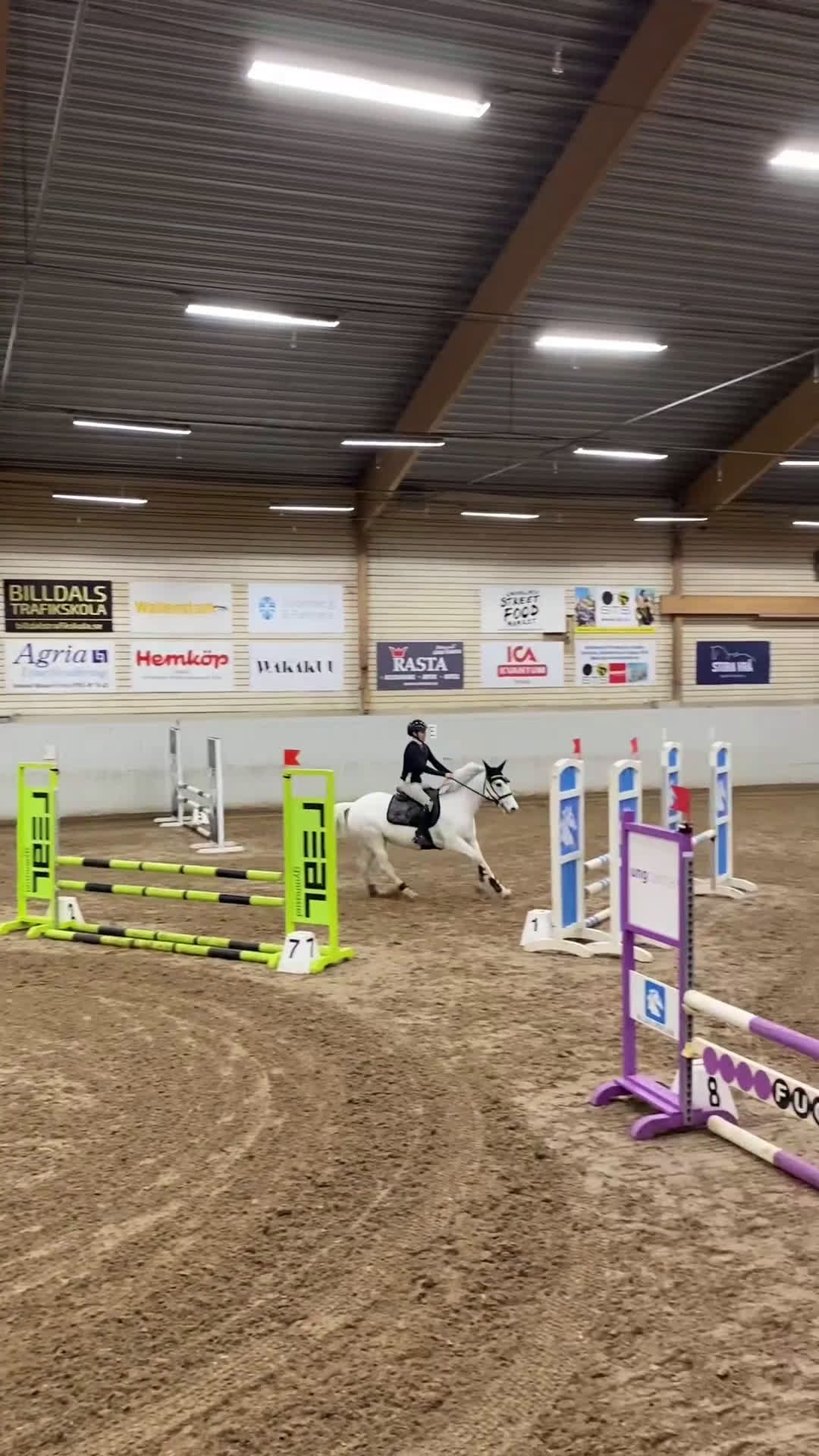 Allround hästar till salu: Drömponny för valfri gren 🌟 - Video 3