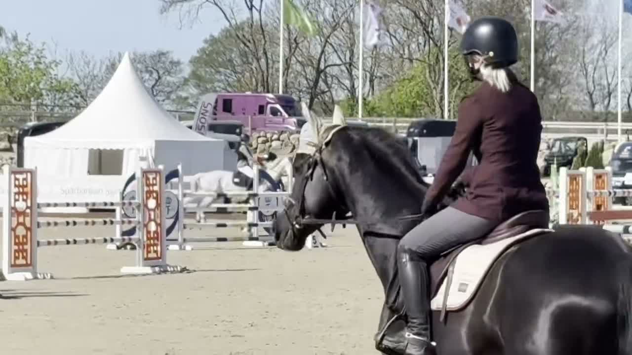Hoppning hästar till salu: Kanske den bästa hästen till en junior. - Video 5