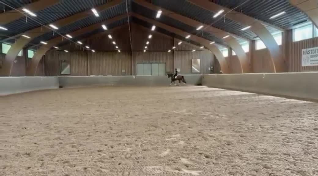 Dressyr hästar till salu: Exceptionell dressyrhäst - tidigare para - Video 2