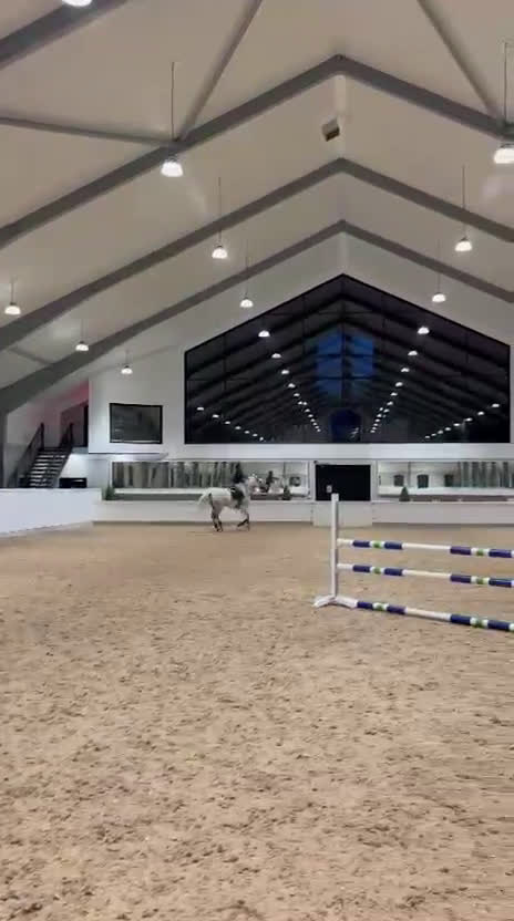 Allround hästar till salu: Fin Allroundhäst i Göteborg - Video 1