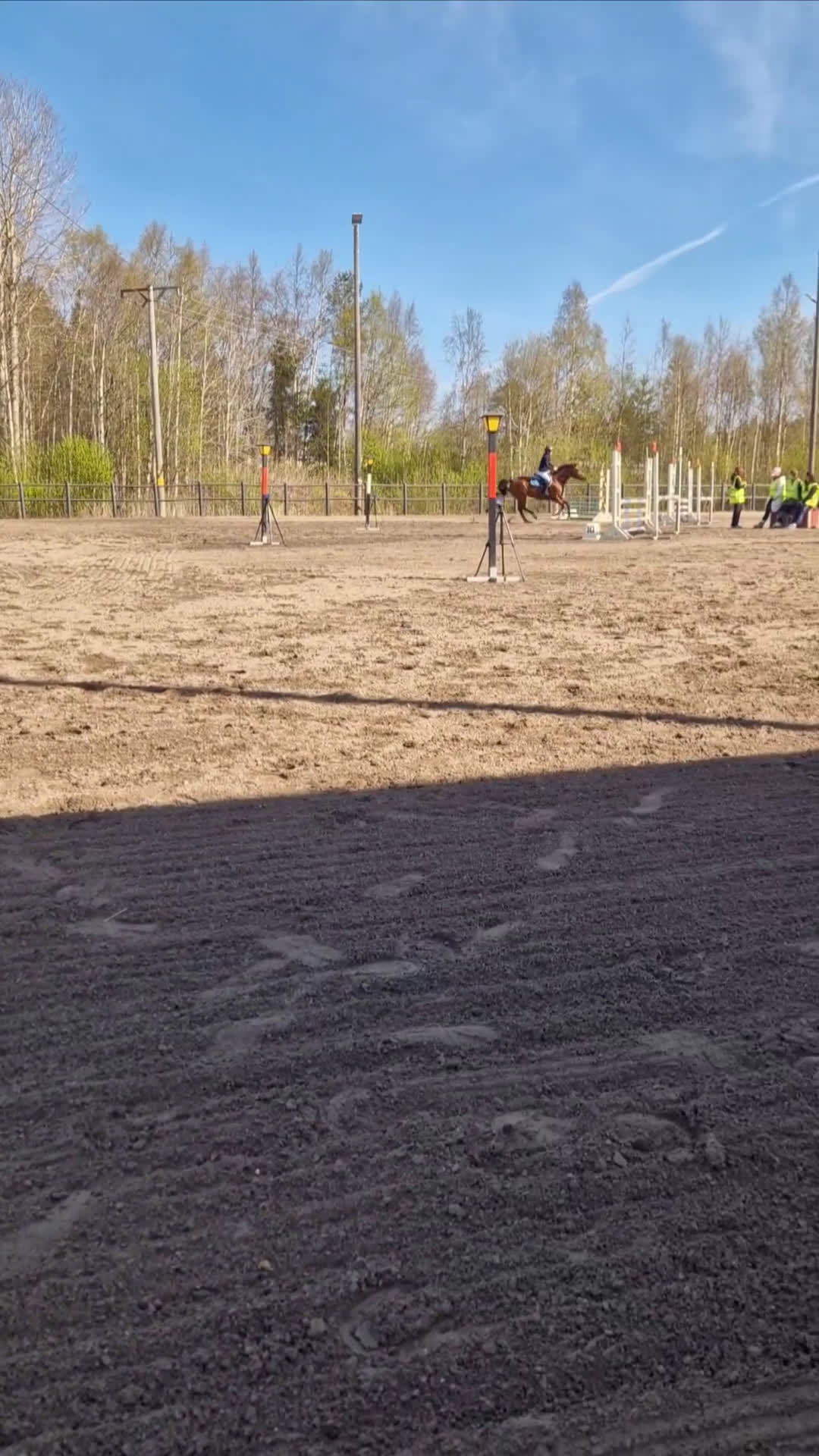 Allround hästar till salu: Snäll och trevlig kompis att utvecklas med! i Lögdeå - Video 4