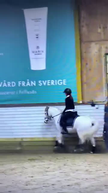 Dressyr hästar till salu: Trygg, cool kille med kapacitet  i Sätila - Video 3