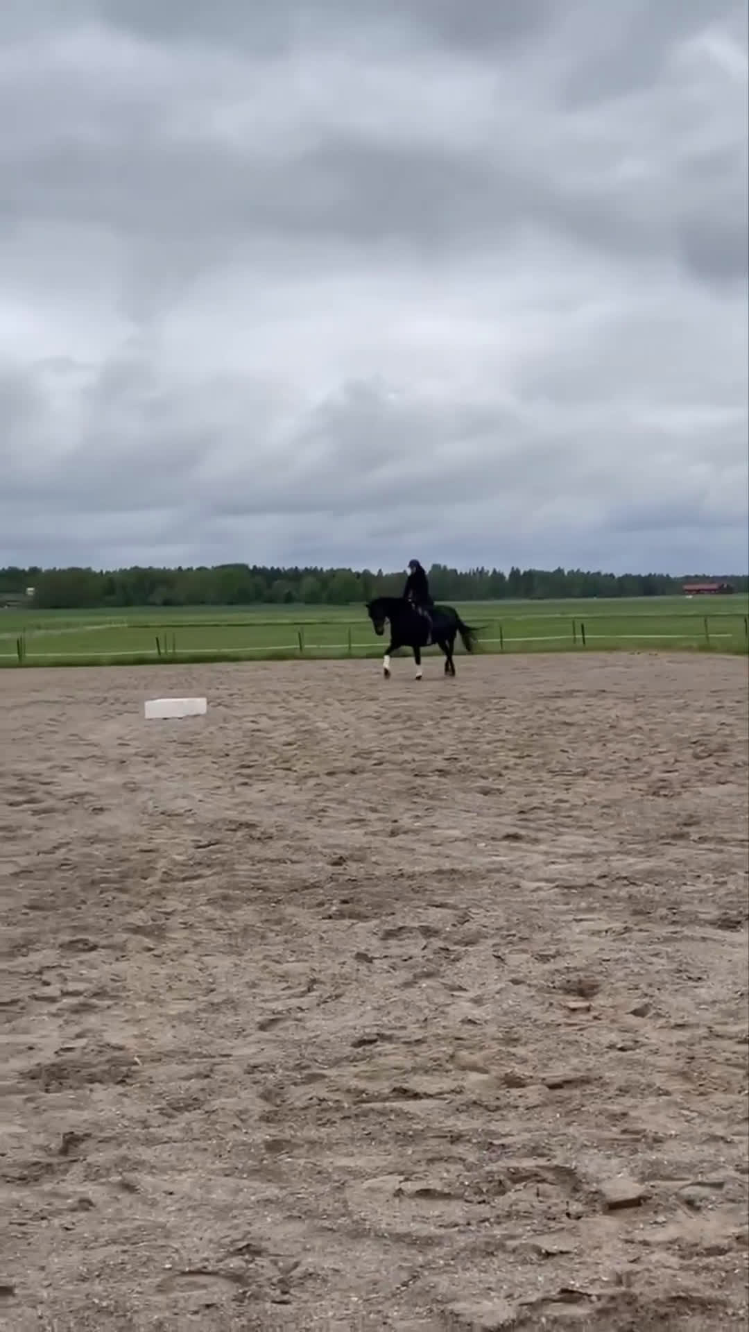 Dressyr hästar till salu: Äldre sto till ridning eller avel  i Ransta - Video 1