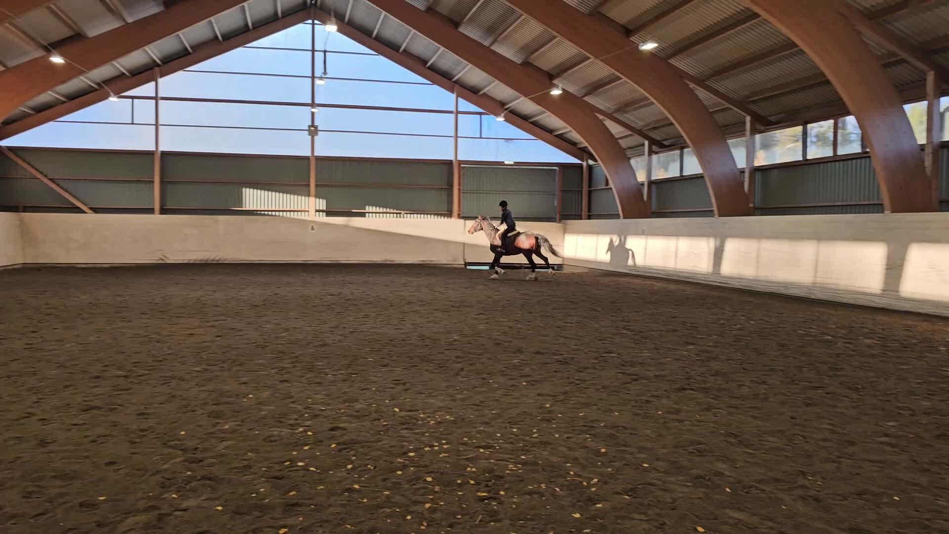 Hoppning hästar till salu: Iögonfallande 3-åring i Vännäs - Video 2