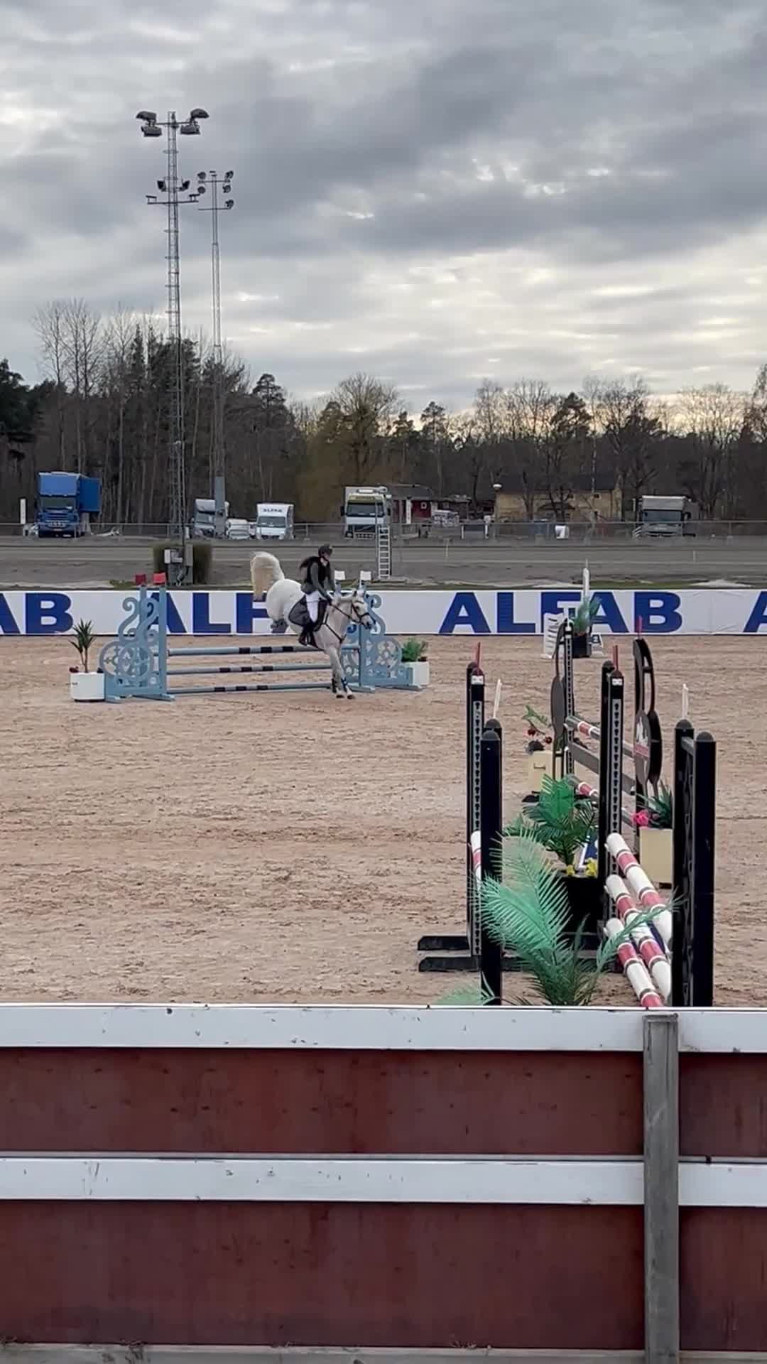 Hoppning hästar till salu: Hoppglad och genomsnäll D-ponny i Grödinge - Video 2