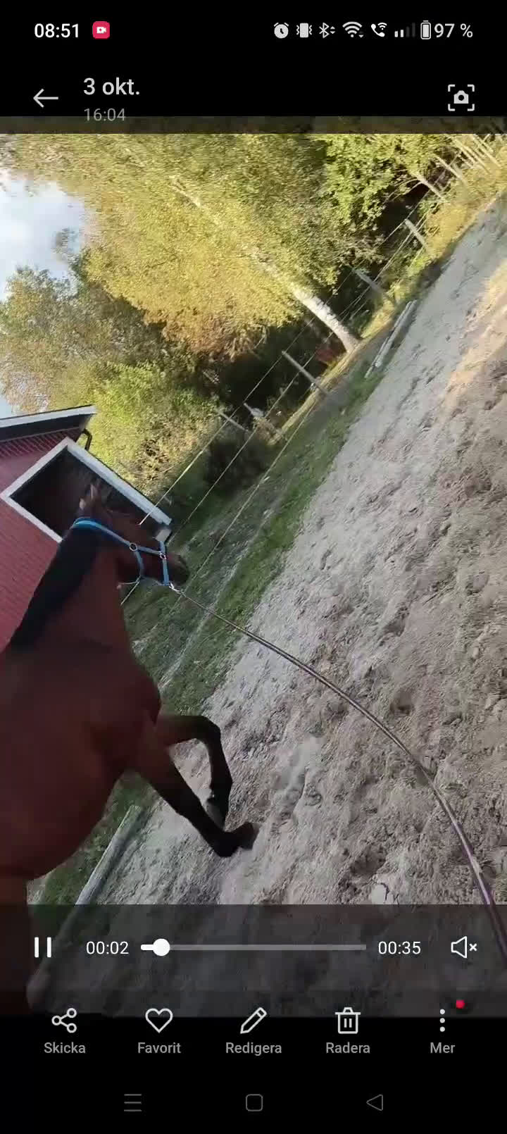 Allround hästar till salu: Underbar valack söker föralltid hem i Eneryda - Video 1