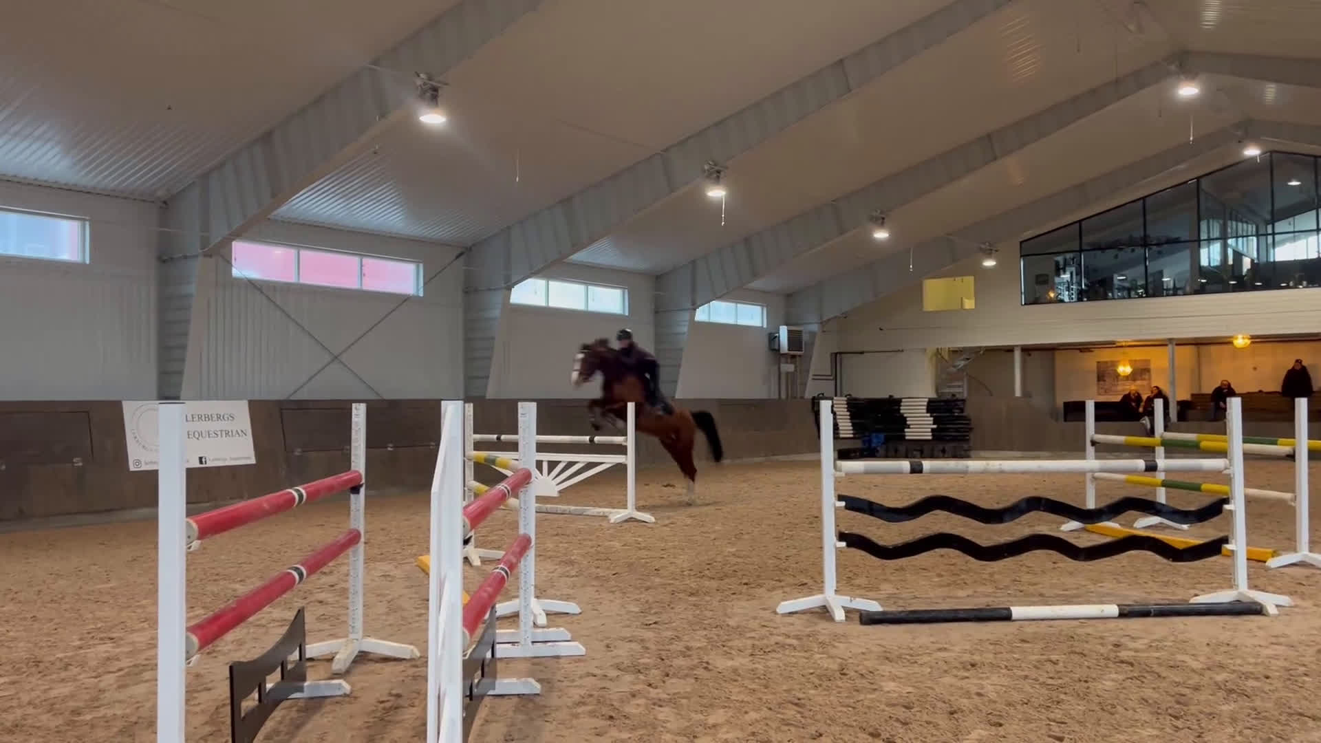 Hoppning hästar till salu: Snyggt Sto för framtiden  - Video 2