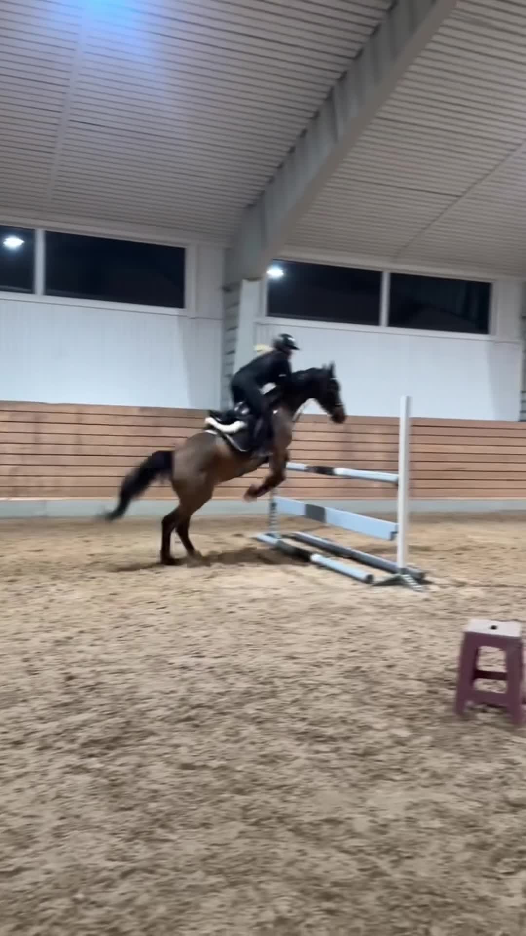 Allround hästar till salu: Allroundponny i Arnäsvall - Video 1