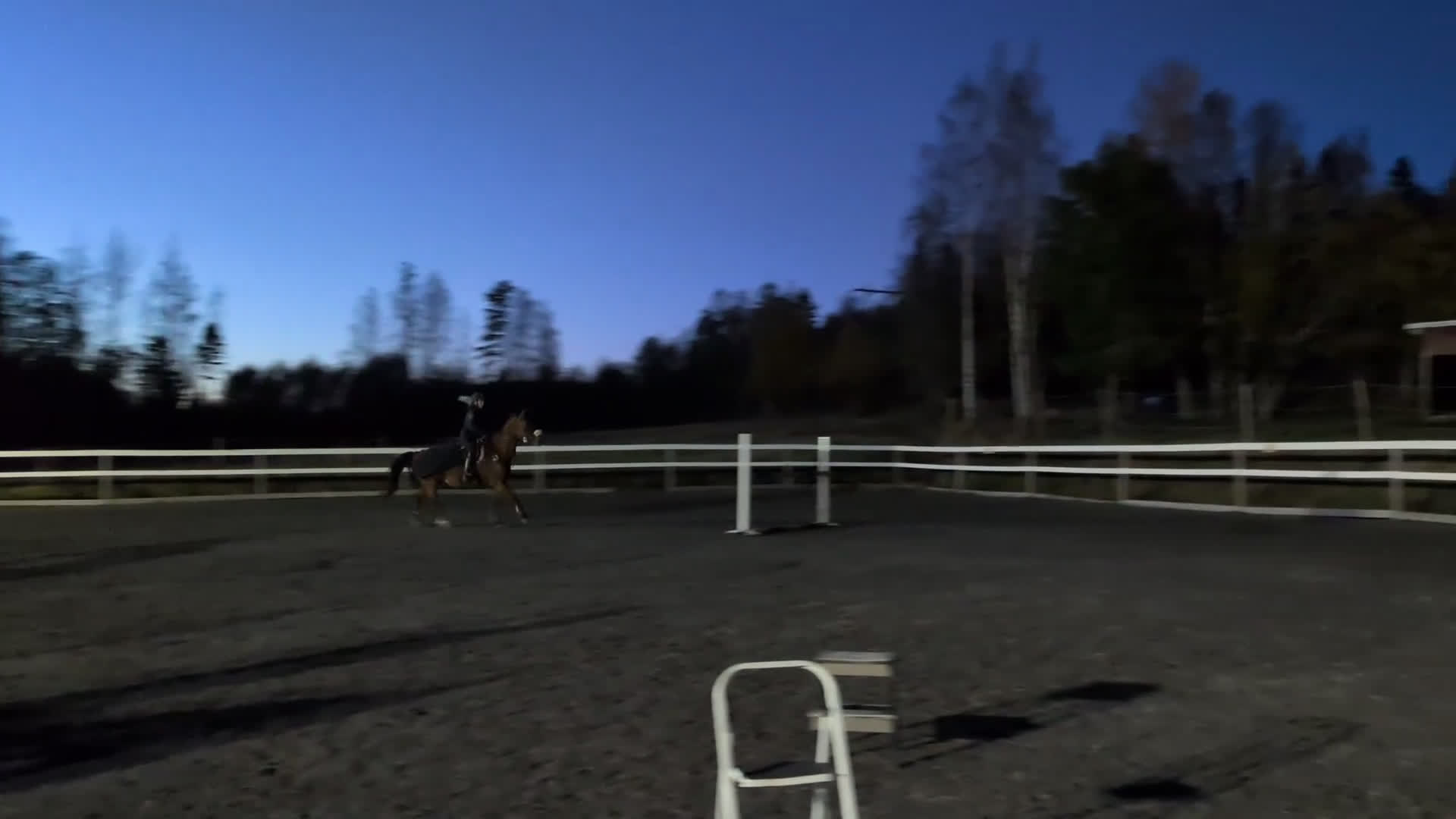 Allround hästar till salu: Allround sto i Bjästa - Video 1