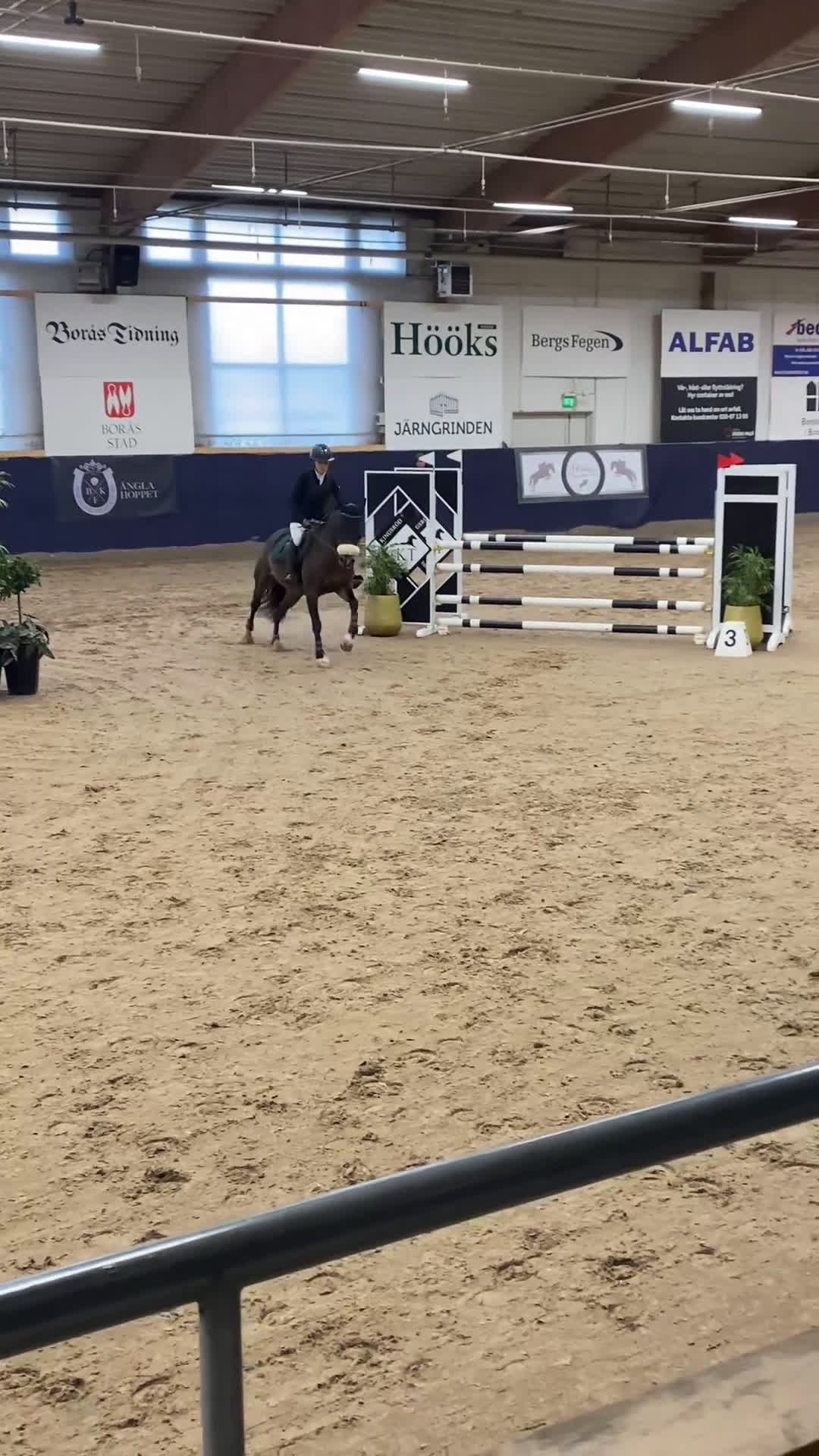 Hoppning hästar till salu: Mångsidig ponny med utstrålning!🌟 i Jörlanda - Video 2