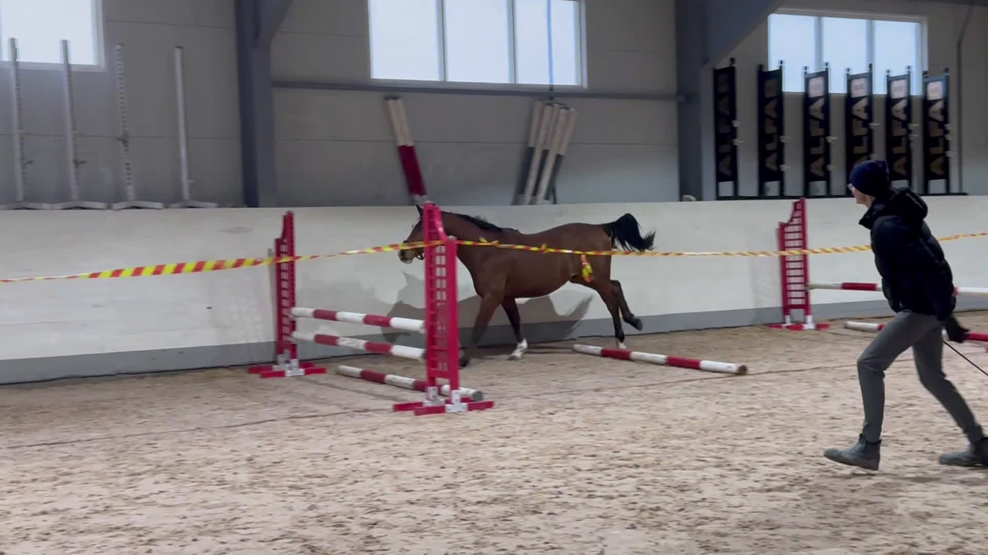 Hoppning hästar till salu: 2,5åring e: Vinnio II W Z - Diamant de Semilly i Västerås - Video 1