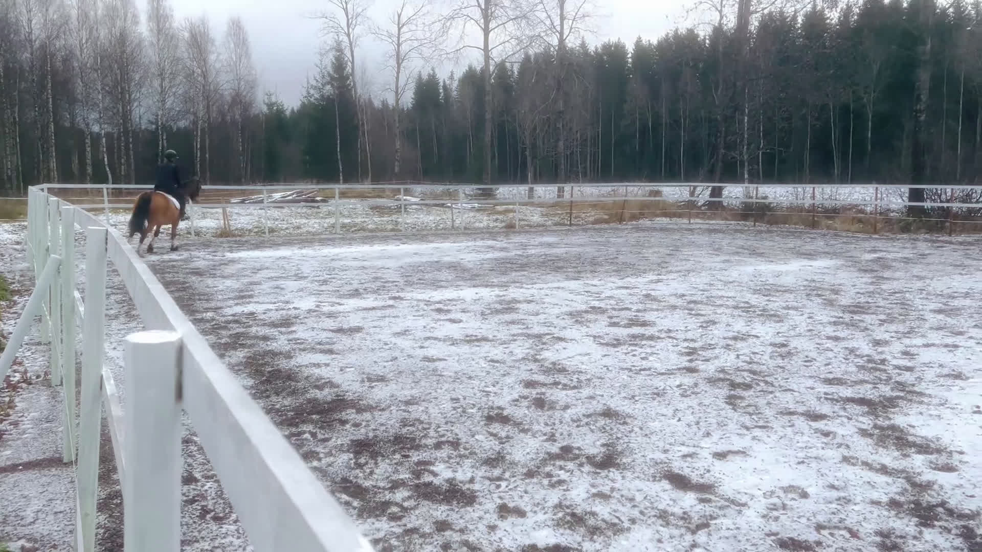 Allround hästar till salu: Fantastisk valack och bästa vän!  i Rottneros - Video 1