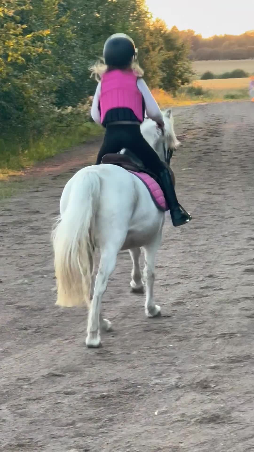 Allround hästar till salu: Sockersöt B-ponny - Video 3