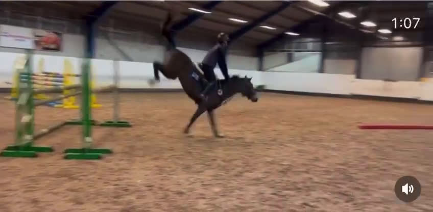 Hoppning hästar till salu: Maxad C-ponny, 8 år  Tävlat 1.10 m i Höllviken - Video 1