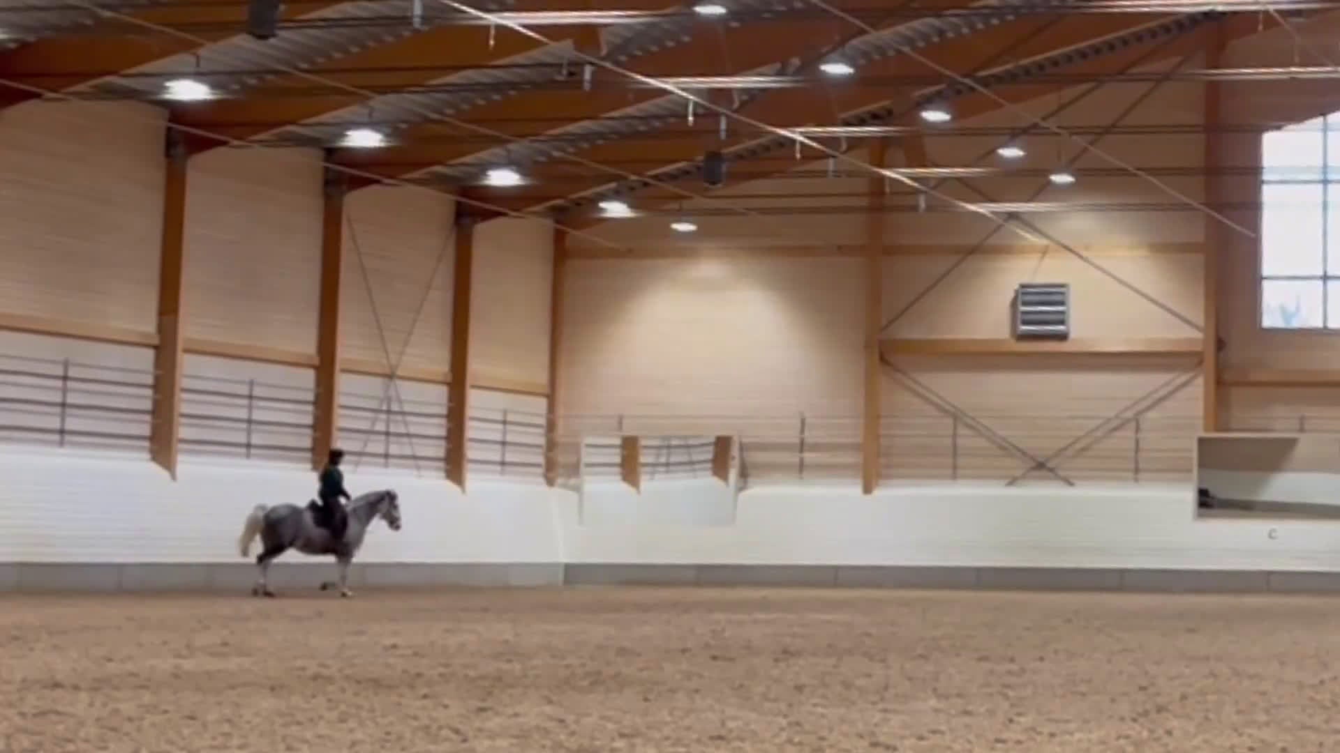 Allround hästar till salu: *RESERVERAD* Hoppglatt sto - Video 2