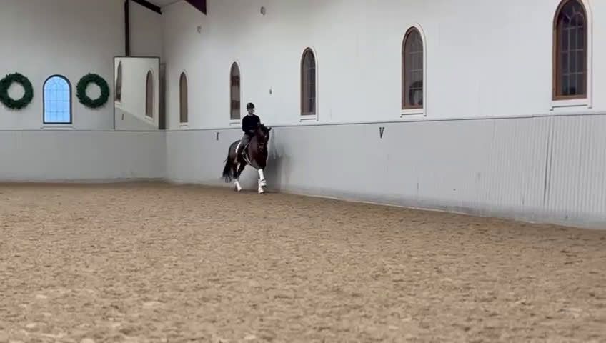 Dressyr hästar till salu: Lovande 7 åring med toppkvalite 🌟 i Bålsta - Video 1