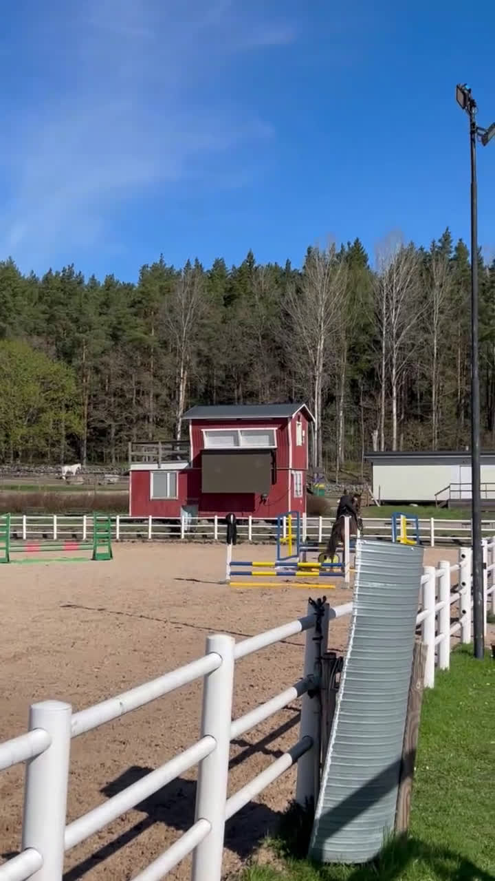 Allround hästar till salu: Valack med kapacitet! i Norrköping - Video 2