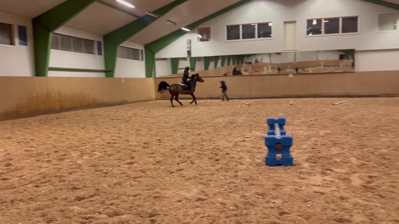 Hoppning hästar till salu: D-ponny till rutinerad ryttare i Domsjö - Video 1