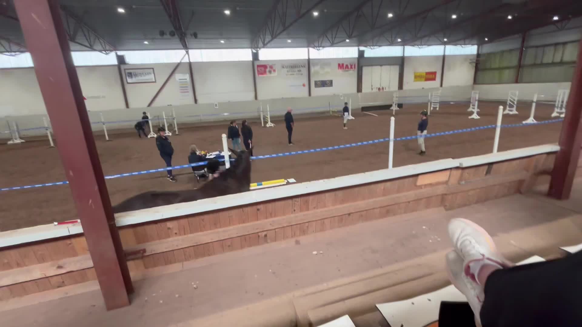 Allround hästar till salu: Trevligt sto - Video 2