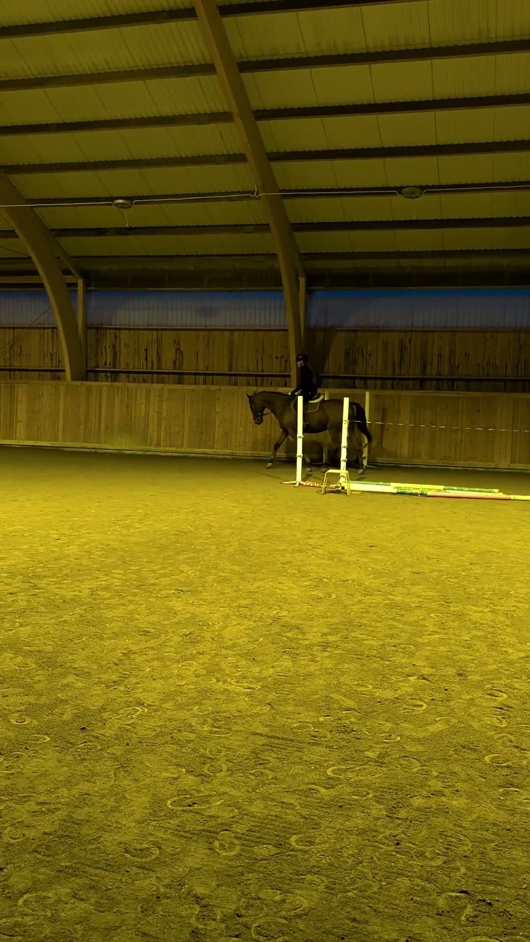  medryttarhäst finnes: Medryttare sökes - Video 1
