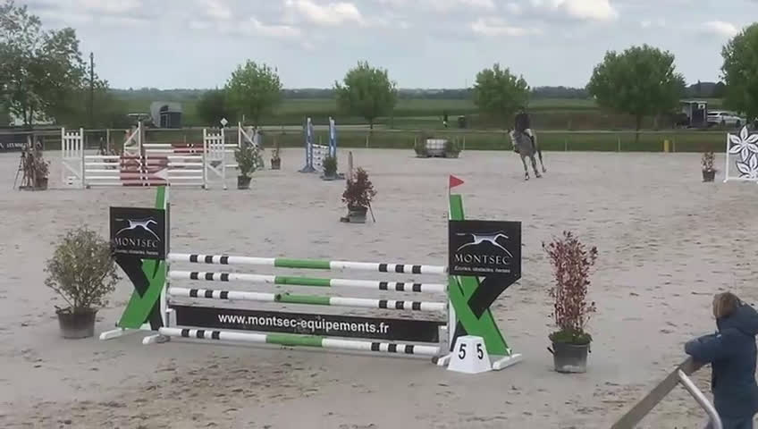 Hoppning hästar till salu: Fantastiskt Potential i Värmdö - Video 1