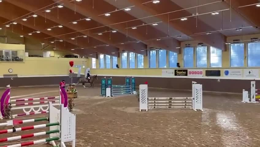 Hoppning hästar till salu: Snäll häst med mycket kapacitet! - Video 2