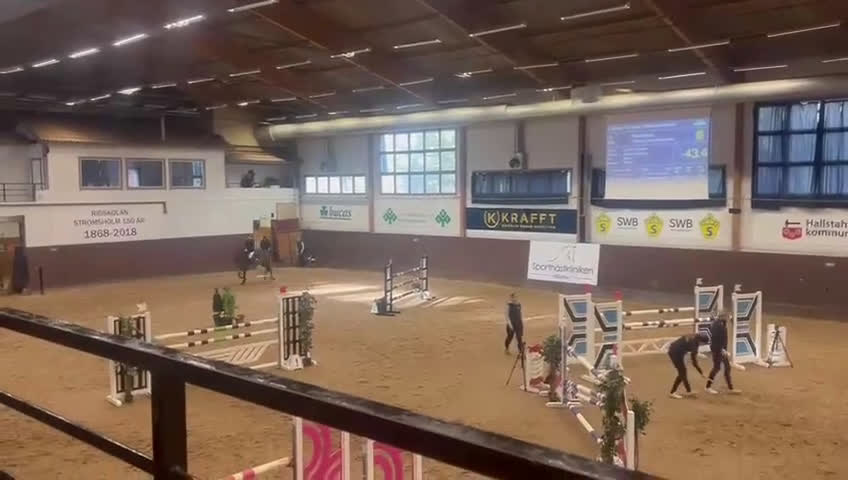 Hoppning hästar till salu: Children eller första storhäst i Västerås - Video 1