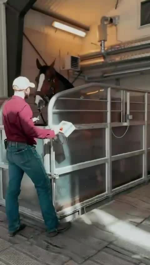  hästservice finnes: Sommarrea 40%! Vattenbandsträning!🌊 - Video 1