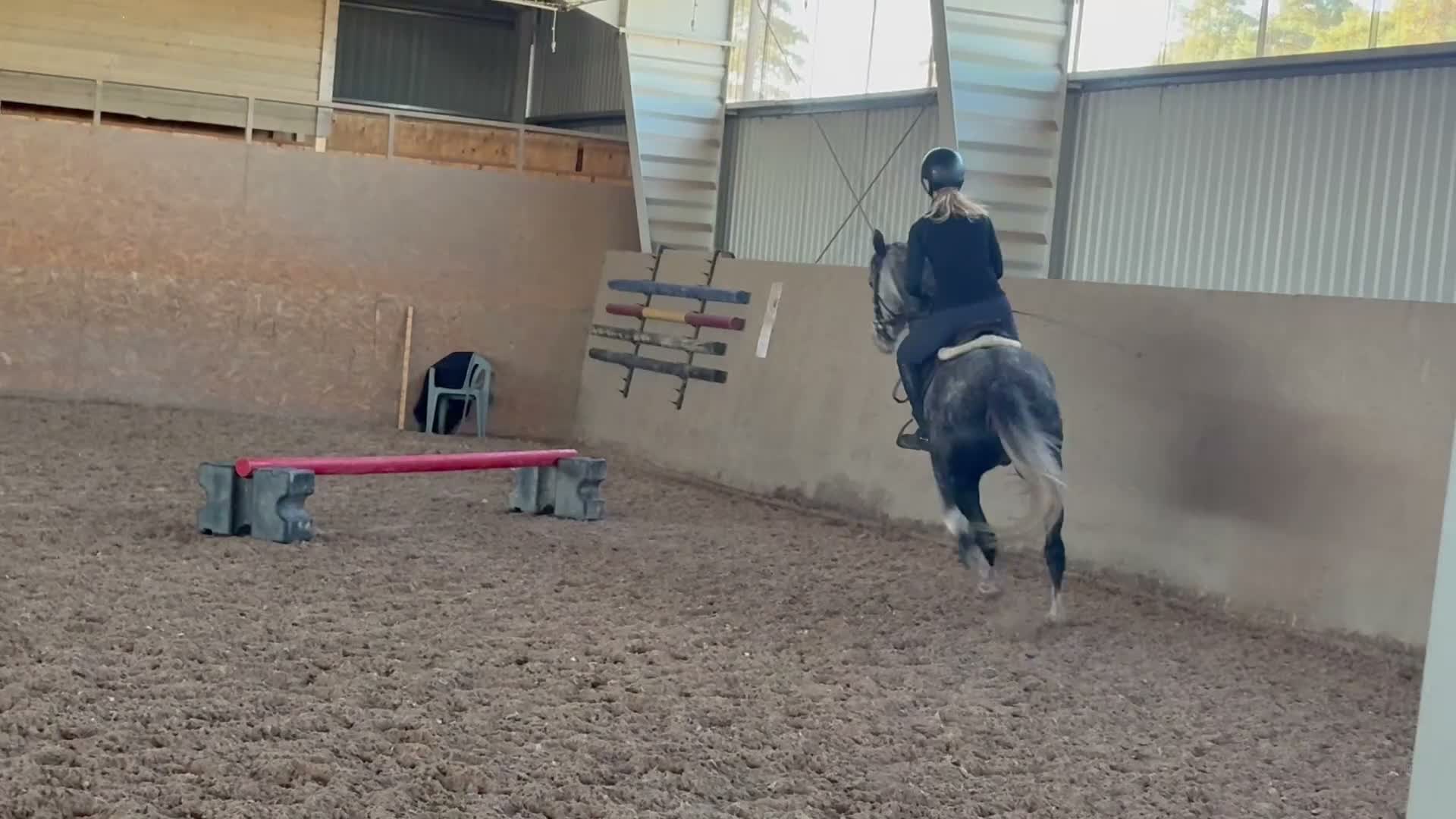 Hoppning hästar till salu: D ponny för de största klasserna  - Video 3