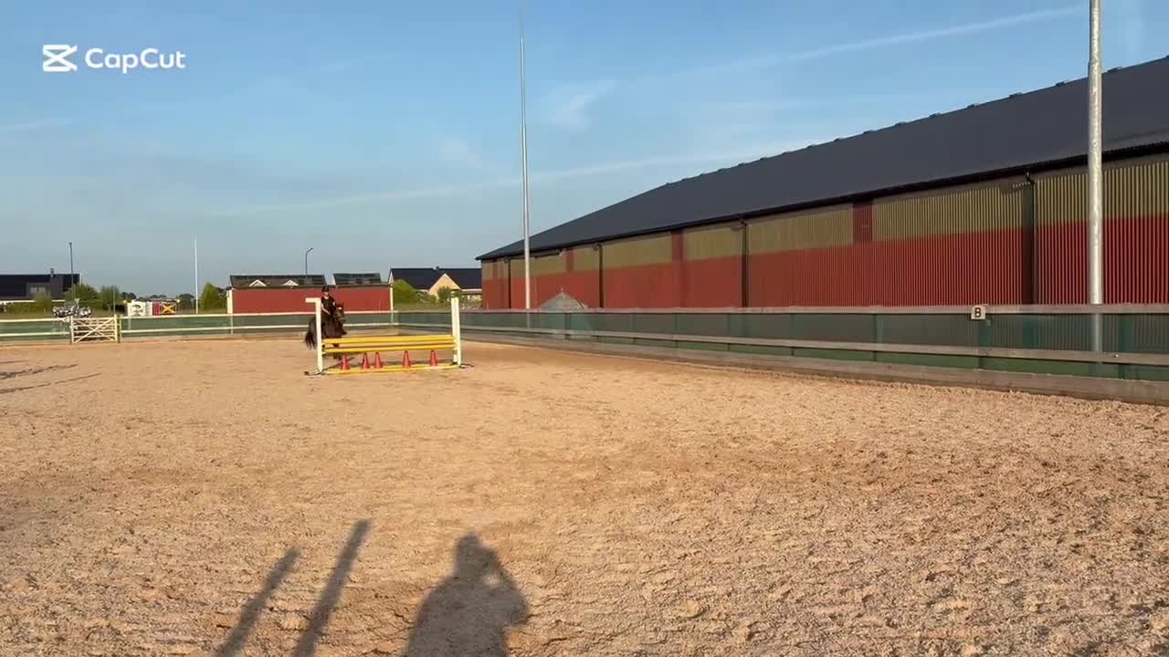 Allround hästar till salu: Fantastisk läromästare  - Video 4