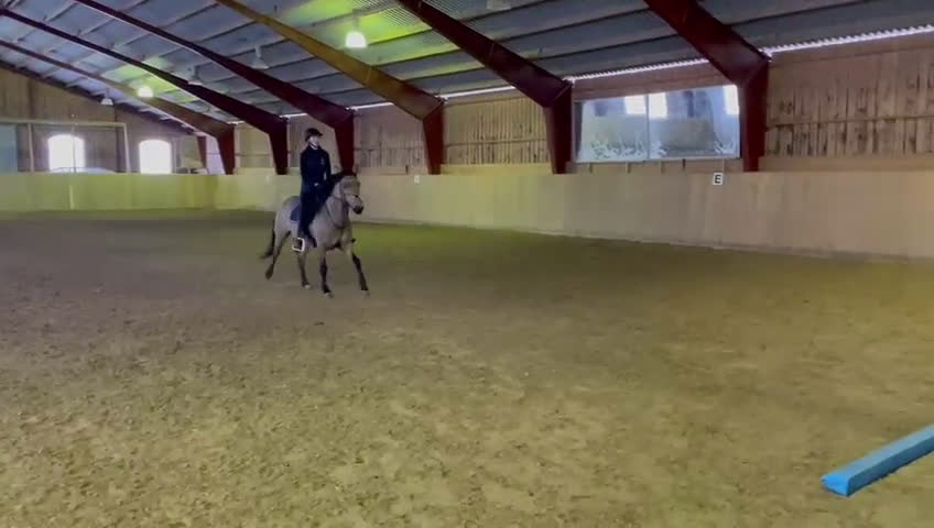 Fälttävlan hästar till salu: Fantastisk fälttävlansponny i Uppsala - Video 4