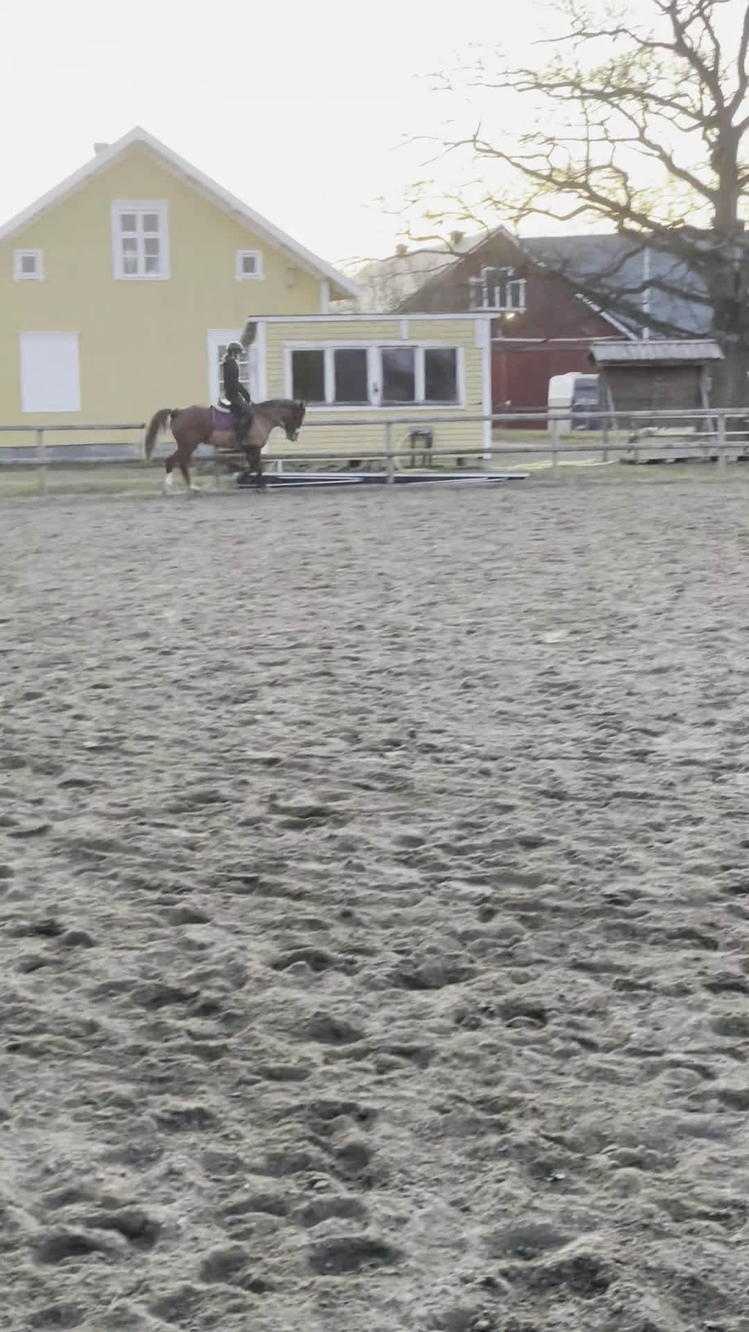 Allround hästar till salu: Ponny med hopp-potential 🩷 i Skövde - Video 3