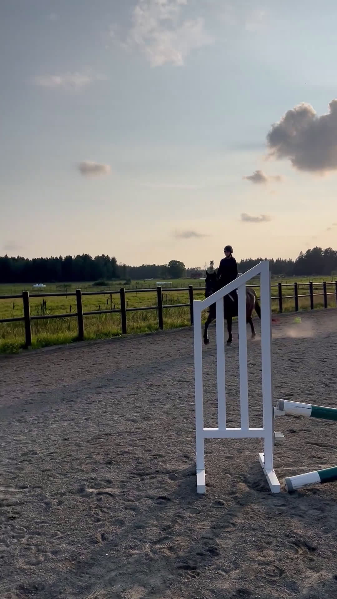 Allround hästar till salu: Omskolad kallblodstravare  i Karlskoga - Video 2