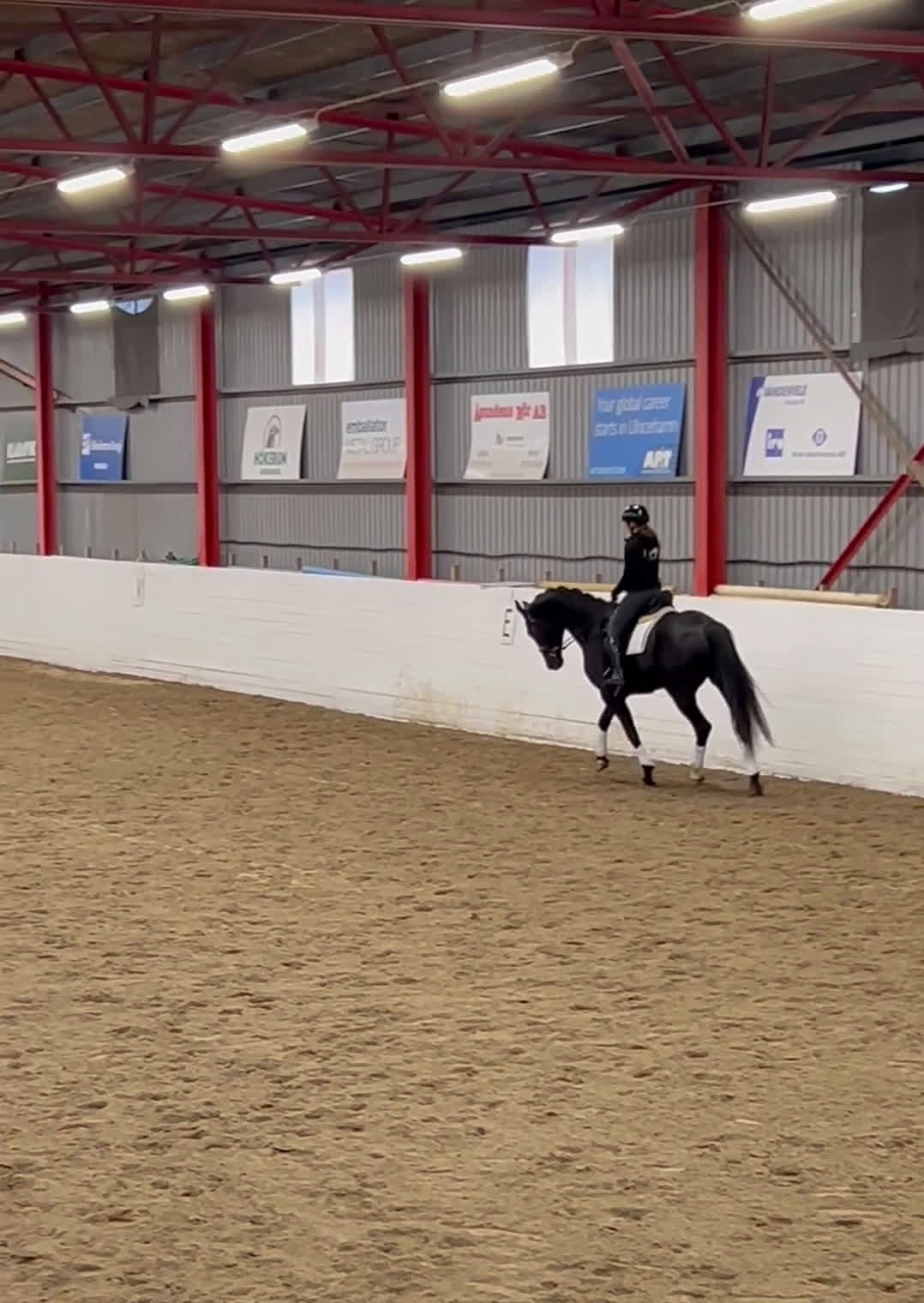 Dressyr hästar till salu: 6årig dressyrvalack, ev bytes äldre läromästare i Tvärred - Video 2