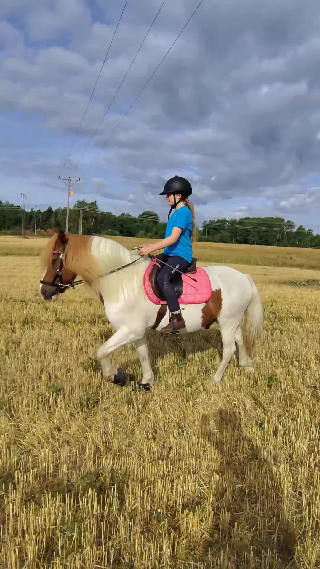  medryttarhäst finnes: Medryttare till grövre c-ponnyvalack 🐴 - Video 1